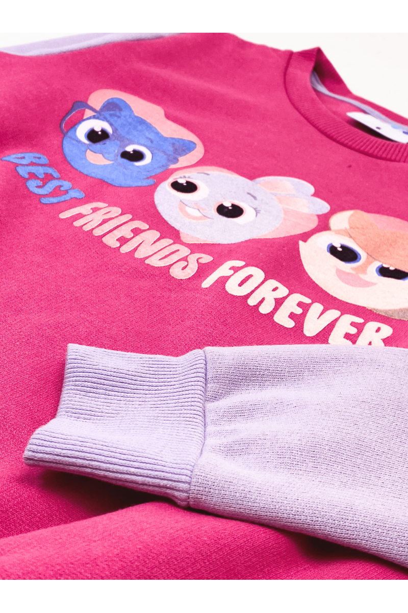 Conjunto Feminino Infantil Bff - Bolofofos